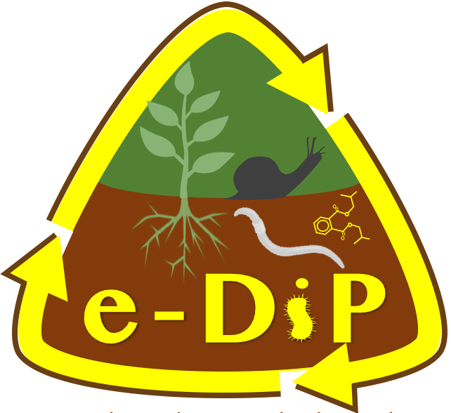 Le projet e-DIP